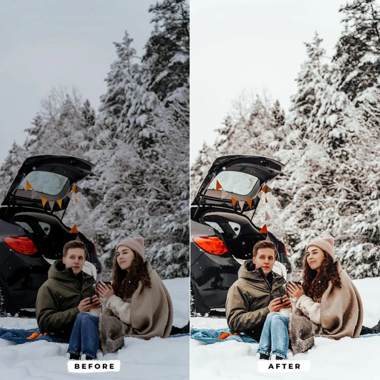 Winter Joy Lightroom Presets — Mobile & Desktop result 4
