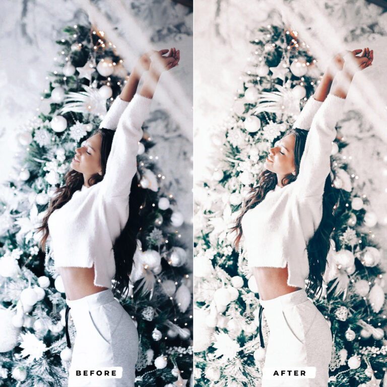 Snow White Winter Lightroom Presets result 2