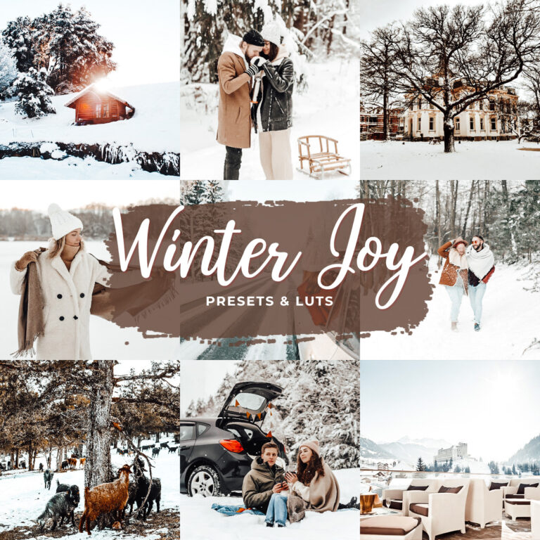 Winter Joy Lightroom Presets — Mobile & Desktop result 1
