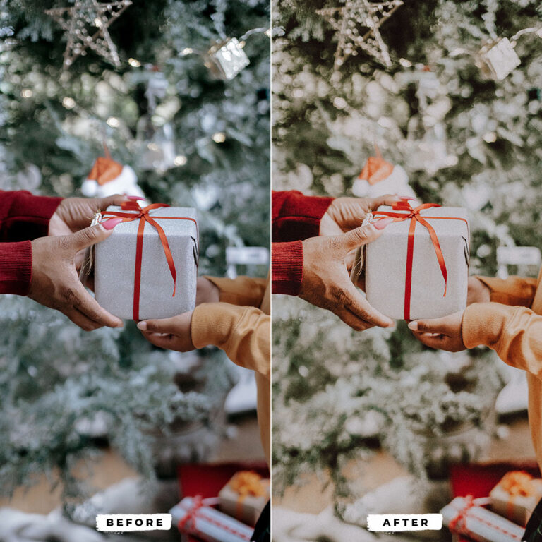 Mistletoe Christmas Lightroom Presets result 2