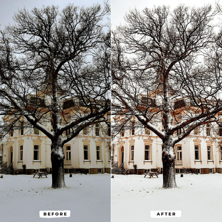 Winter Joy Lightroom Presets — Mobile & Desktop result 2
