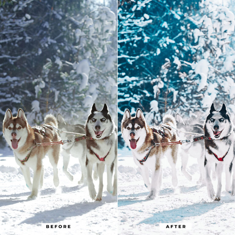 Winter Lightroom Presets — Mobile & Desktop result 3
