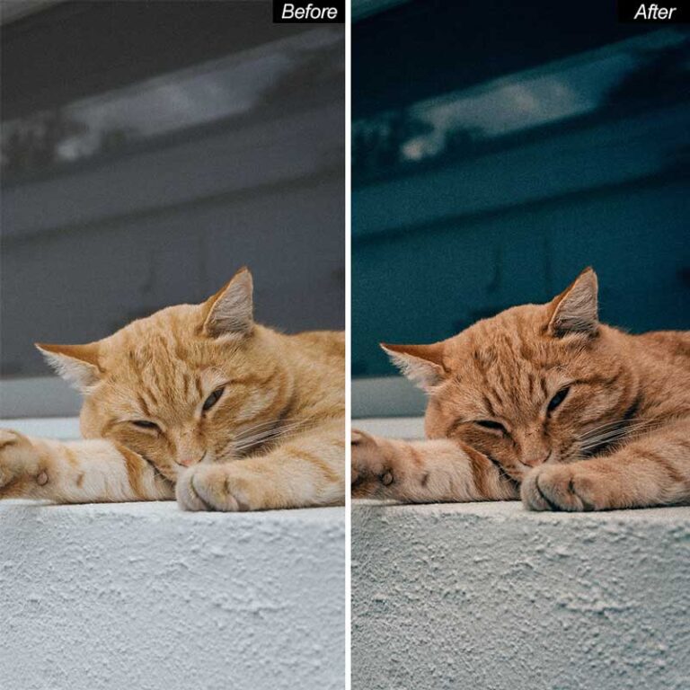 Cinematic Lightroom Presets — Mobile & Desktop result 4