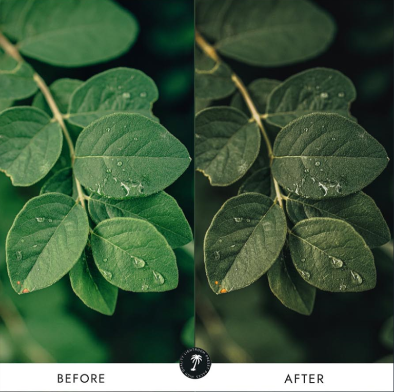 Forest Lightroom Presets — Nature Photography Pack result 4