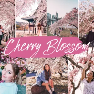 Cherry Blossom Lightroom Presets Mobile & Desktop