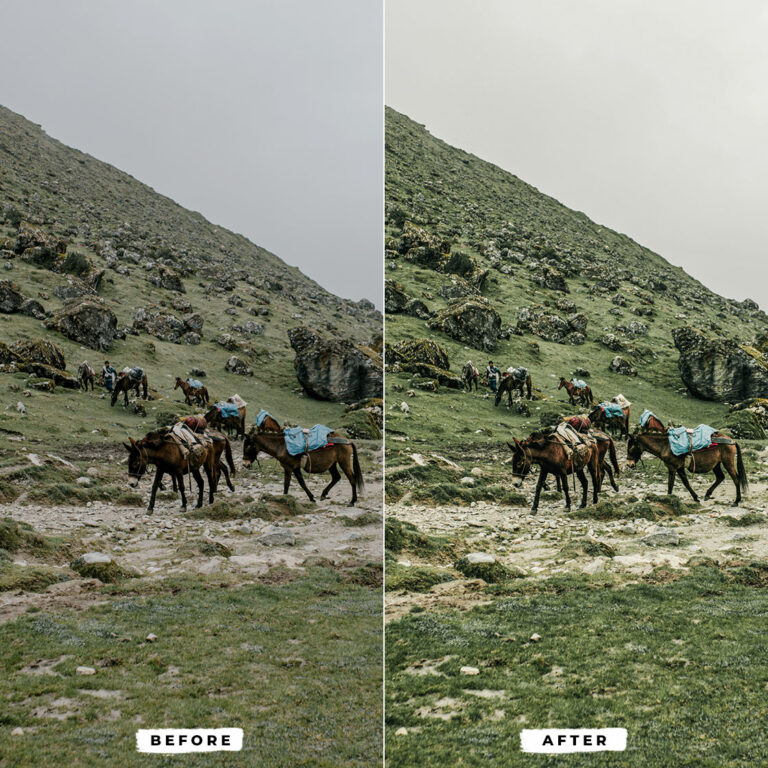 Airy Green Lightroom Presets — Mobile & Desktop result 3