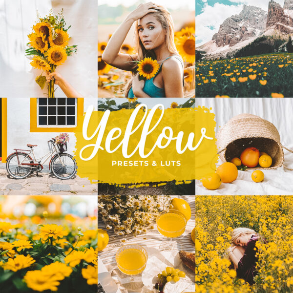 Lightroom preset examples — professional photo edits for mobile and desktop