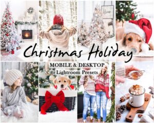 Christmas Holiday Lightroom Presets — Mobile & Desktop preview 1