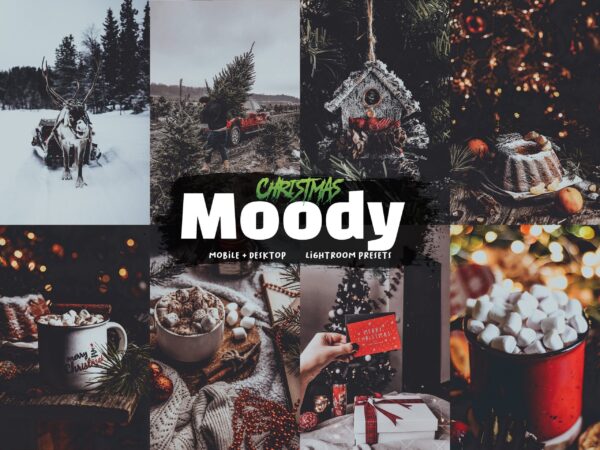 dark, moody Christmas Lightroom preset example — festive portrait with holiday atmosphere